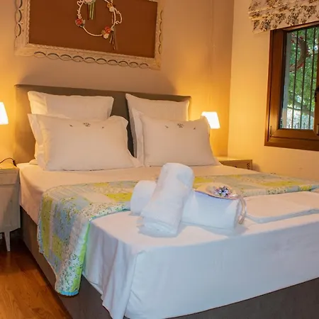 Appartement Sofia's House PalaiónTsiflíkion