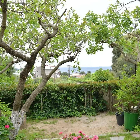 Sofia's House Appartement PalaiónTsiflíkion