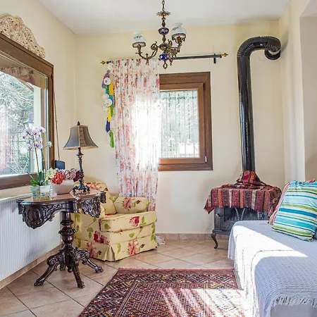 Sofia's House PalaiónTsiflíkion