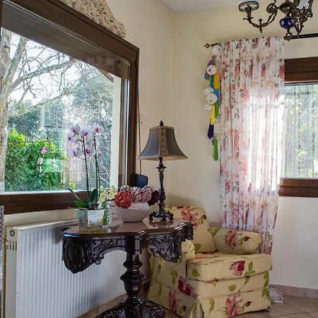 Sofia's House Апартаменты Палеон-Цифликион