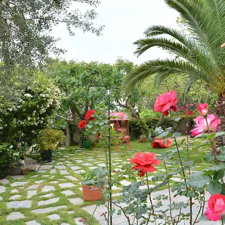 Апартаменты Sofia's House *