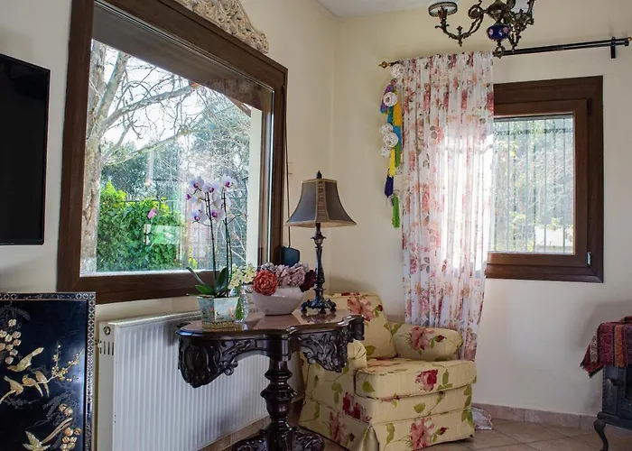 Sofia's House Διαμέρισμα PalaiónTsiflíkion