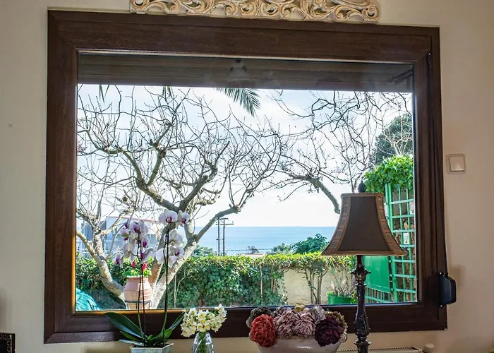 Διαμέρισμα Sofia's House PalaiónTsiflíkion