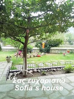 Sofia's House Διαμέρισμα PalaiónTsiflíkion