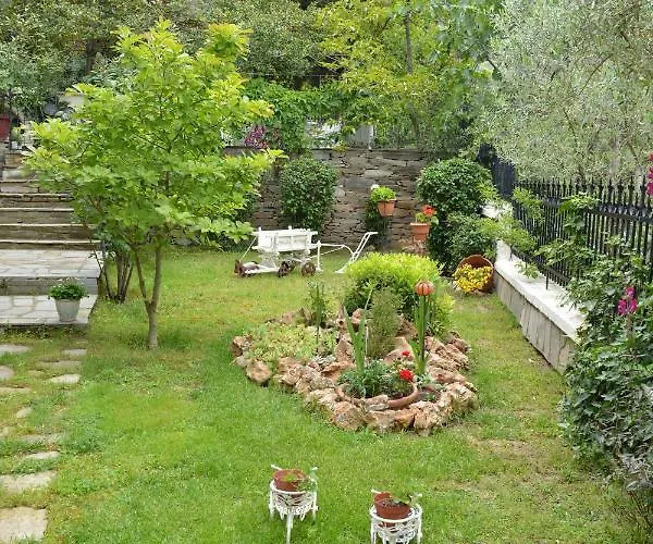 Sofia's House Διαμέρισμα PalaiónTsiflíkion